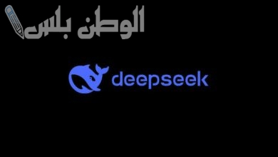 DeepSeek