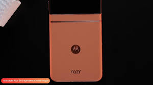 Motorola Razr 50s: نظرة