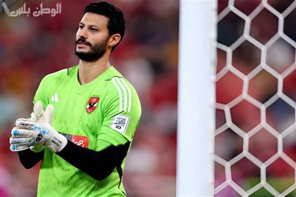 محمد الشناوي