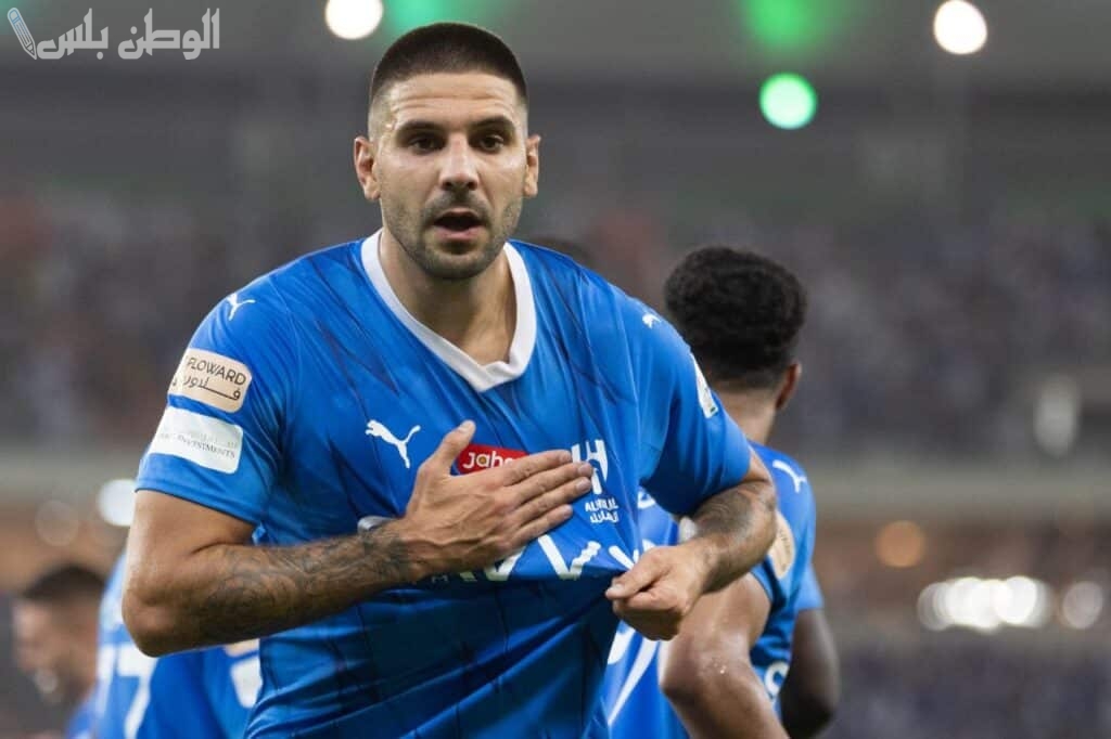 أليكساندر ميتروفيتش