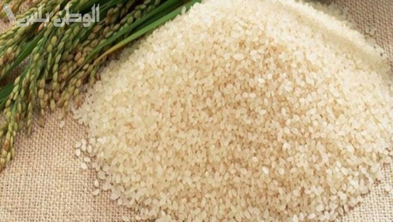 اسعار الارز الشعير اليوم