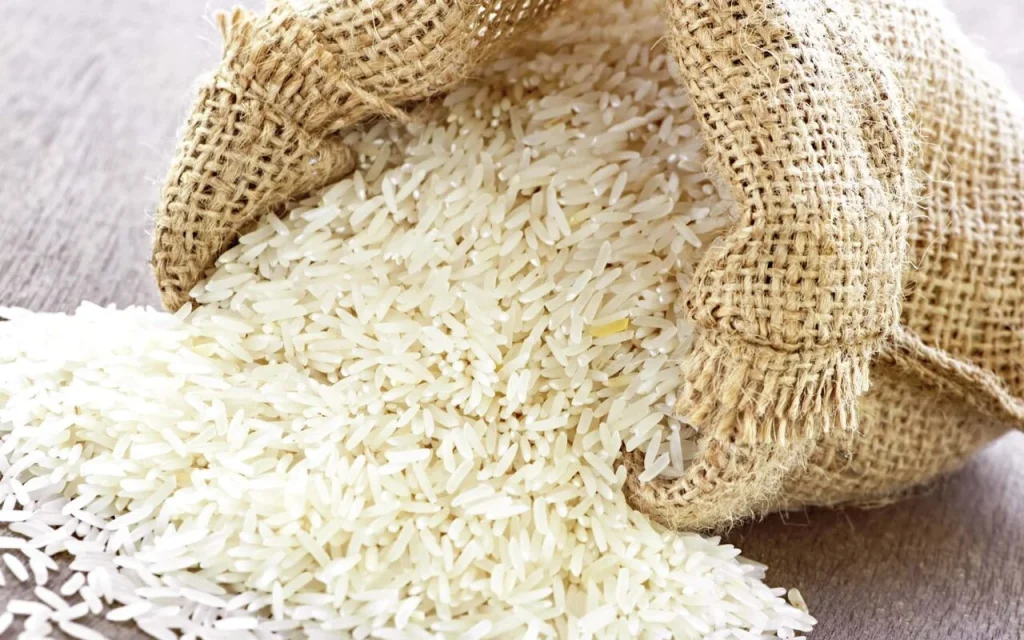 اسعار الارز والشعير اليوم