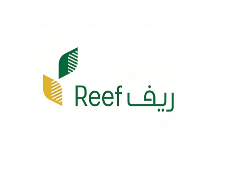 الاستعلام عن دعم ريف