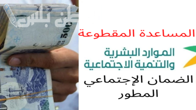 المساعدة المقطوعة