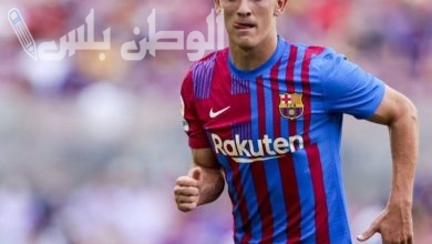 غافي