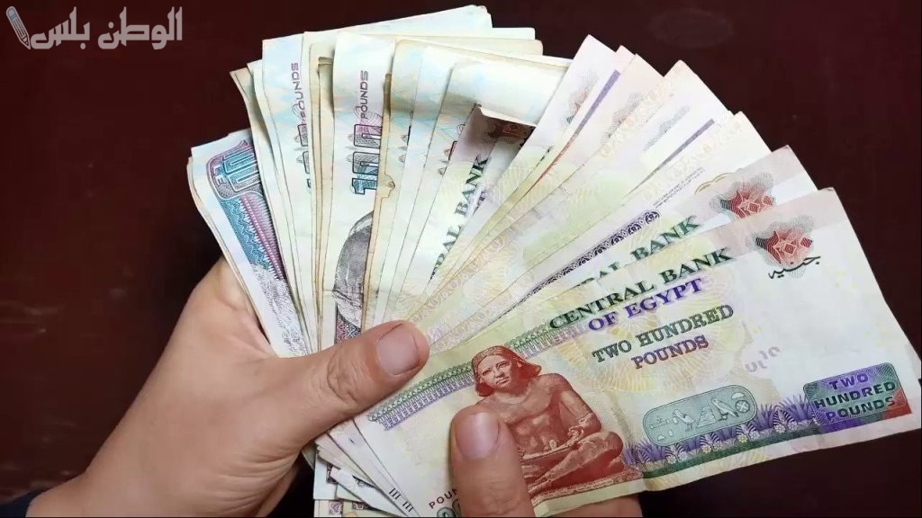 زيادة المعاشات في مصر