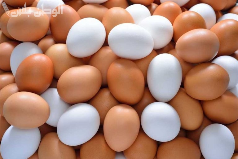 البيض البلدي سجل كام؟ سعر البيض الابيض والاحمر اليوم الاربعاء 29-1-2025