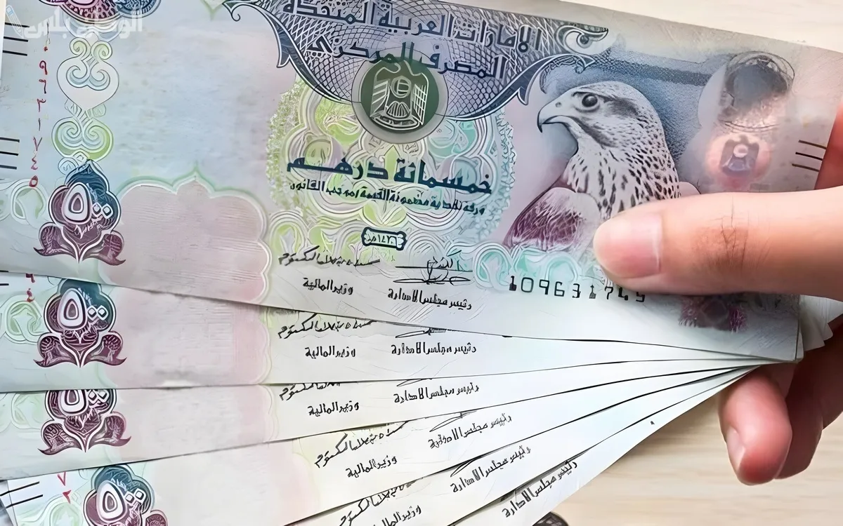 سعر الدرهم الإماراتي مقابل الجنيه المصري