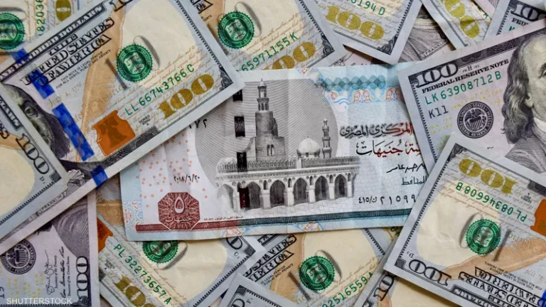 انخفاض في سعر الدولار في السوق السوداء اليوم والبنوك المصرية امام الجنية المصري