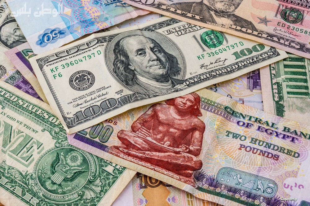 سعر الدولار في السوق