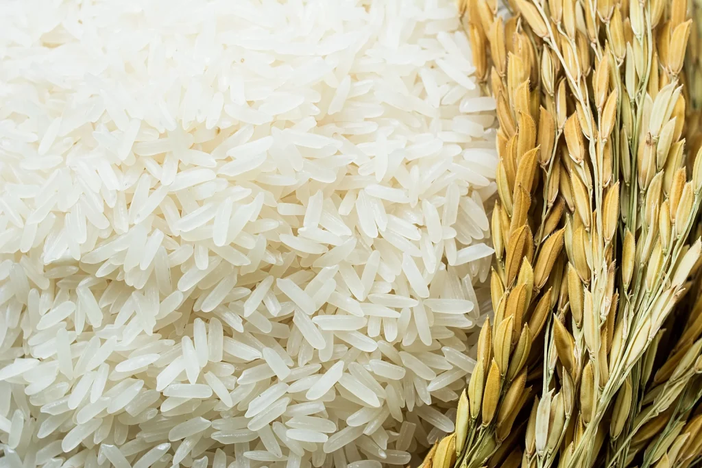 سعر طن الأرز الشعير