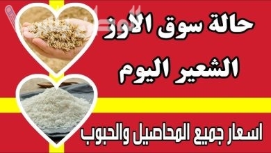 سعر طن الأرز الشعير اليوم