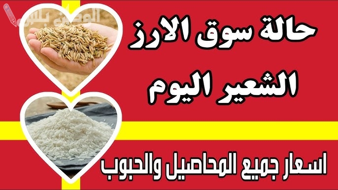 سعر طن الأرز الشعير