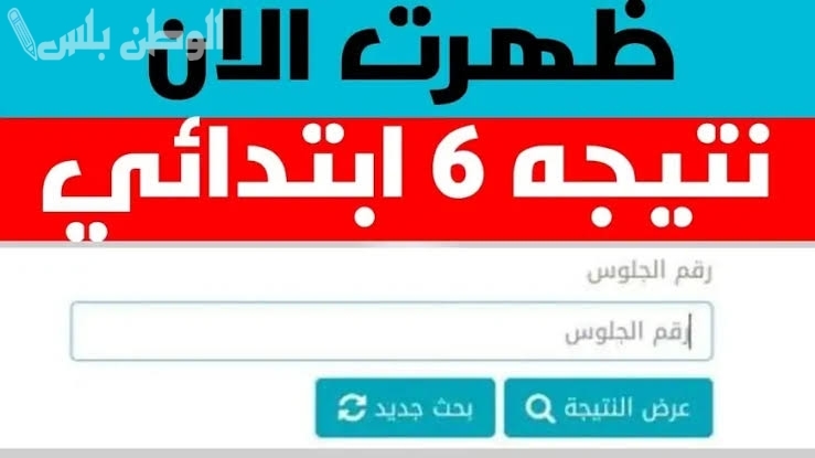 بالرابط الرسمي | استخراج نتيجة الصف السادس الابتدائي الترم الأول 2025 عبر موقع وزارة التربية والتعليم