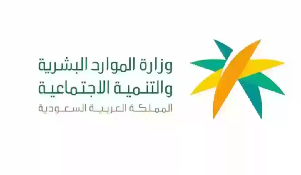 كيفية الاستعلام عن بيانات