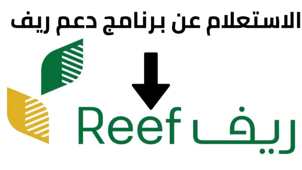 كيفية الاستعلام عن دعم