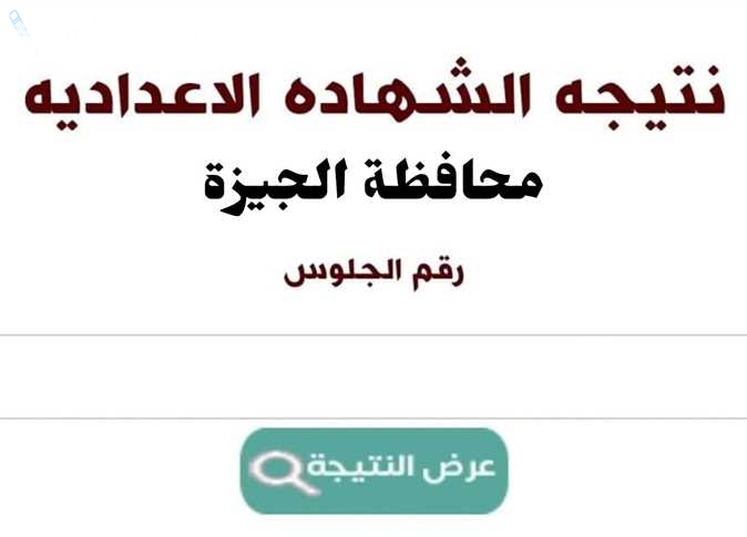 محافطة الجيزة تنشر نتيجة