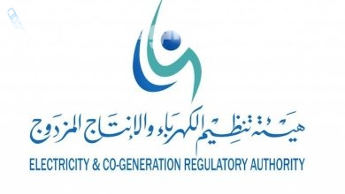 هيئة تنظيم الكهرباء