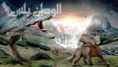 Dinosaur Games 3D