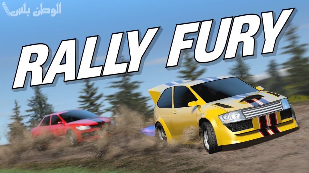 Rally Fury