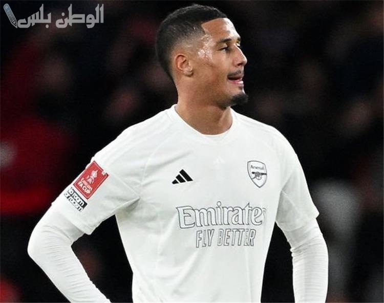 ويليام ساليبا