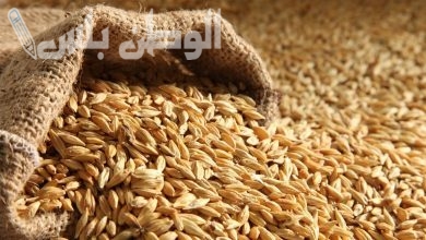 سعر الأرز الشعير اليوم الأربعاء