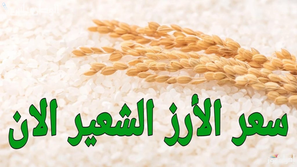 أسعار الأرز الشعير اليوم