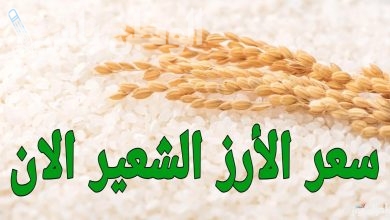 أسعار الأرز الشعير اليوم