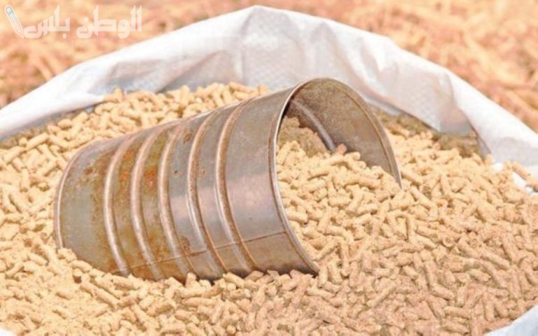 التحديث الأخير.. أسعار أعلاف الدواجن اليوم 6-2-2025 في السعودية