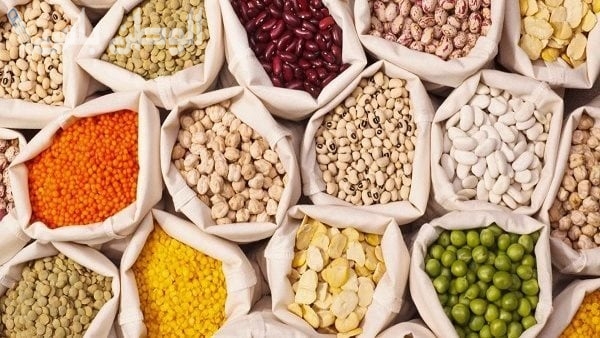 أسعار البقوليات اليوم
