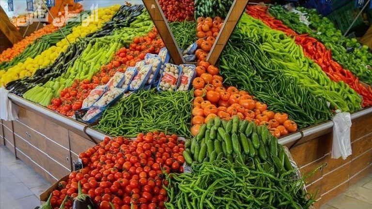 منتجات موسمية: أسعار الخضروات والفواكه اليوم الأربعاء 19 فبراير 2025 أحدث المتغيرات
