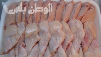 أسعار الدواجن