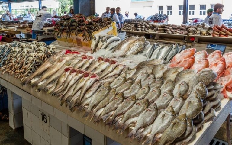 أسعار البلطي والجمبري والبوري.. آخر تحديث لأسعار الأسماك اليوم الخميس 6-2-2025