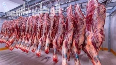 أسعار اللحوم اليوم السبت