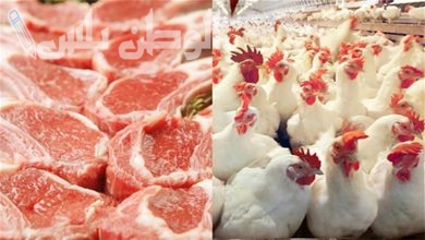 أسعار اللحوم والدواجن اليوم