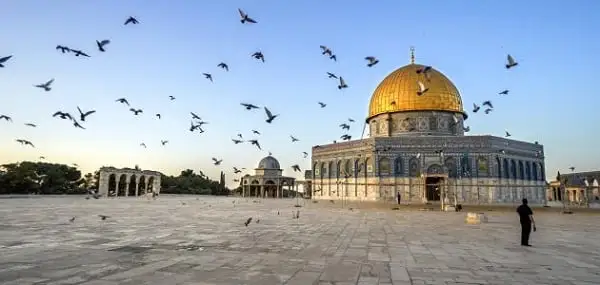 اذاعة مدرسية عن القضية