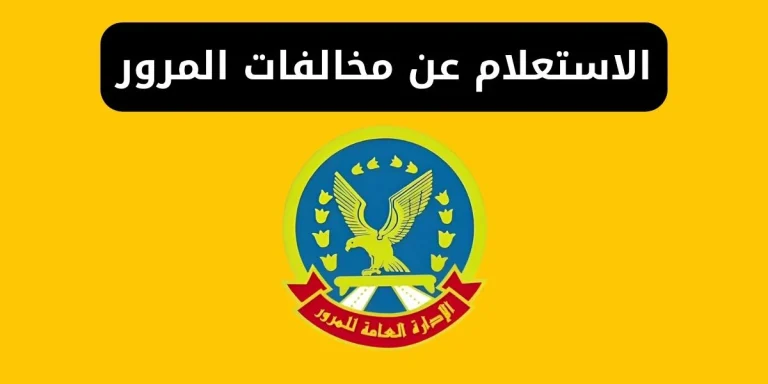 سددها اونلاين.. استعلم عن مخالفات المرور في مصر عبر الادارة العامة للمرور 2025 وسددها