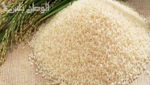 اسعار الأرز الشعير اليوم