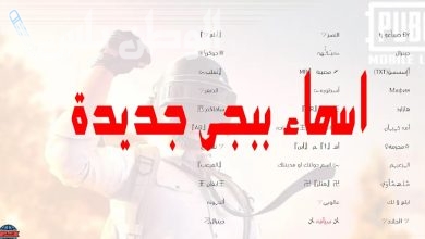 اسماء ببجي فخمة مزخرفة