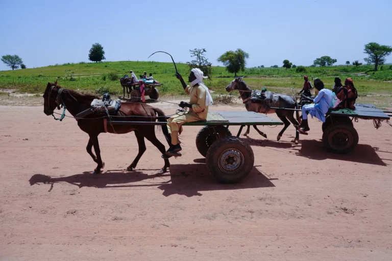 الأمم المتحدة تحذر من أزمة إنسانية غير مسبوقة في السودان بسبب تصاعد الصراع ونقص الغذاء