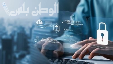 الأمن السيبراني