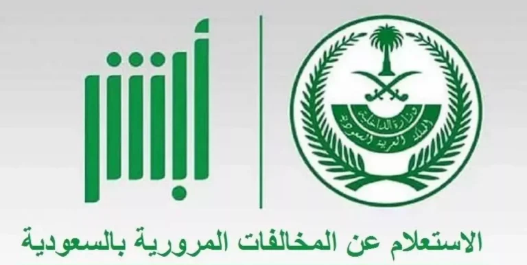 برقم اللوحة | طريقة الاستعلام عن المخالفات عبر منصة ابشر