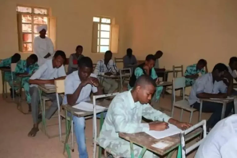 استعلم بالاسم ورقم الجلوس .. نتائج الشهادة السودانية 2025 عبر mohe.gov.sd