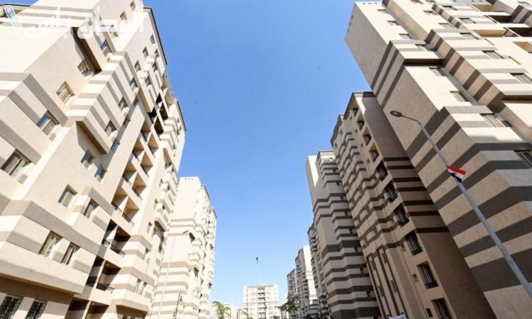 الاستعلام عن نتيجة قرعة