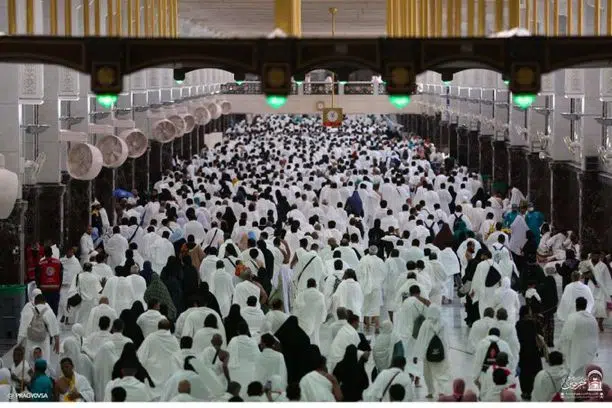 التطوع في الحرمين الشريفين