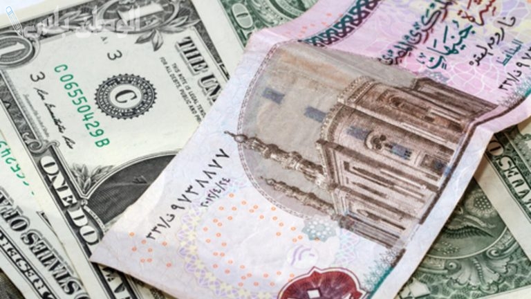 السوق الموازية | سعر الجنيه المصري أمام الدولار الأمريكي اليوم السبت 8-2-2025
