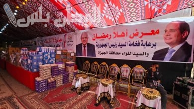 الحكومة المصرية