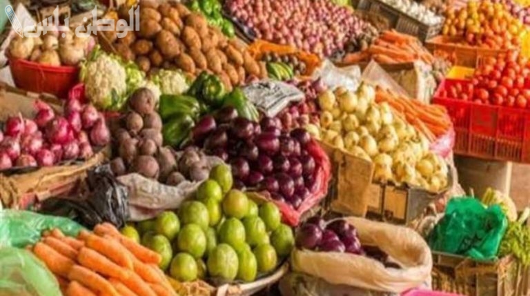 استقرار ملحوظ | سعر الخضروات اليوم الخميس 20 فبراير 2025 في الأسواق وسط تقلبات الطلب