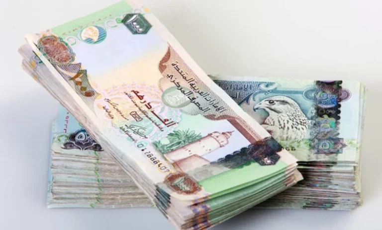 سجل كم؟! سعر الدرهم الاماراتي امام الجنيه المصري اليوم 8 فبراير 2025 في البنوك المصرية