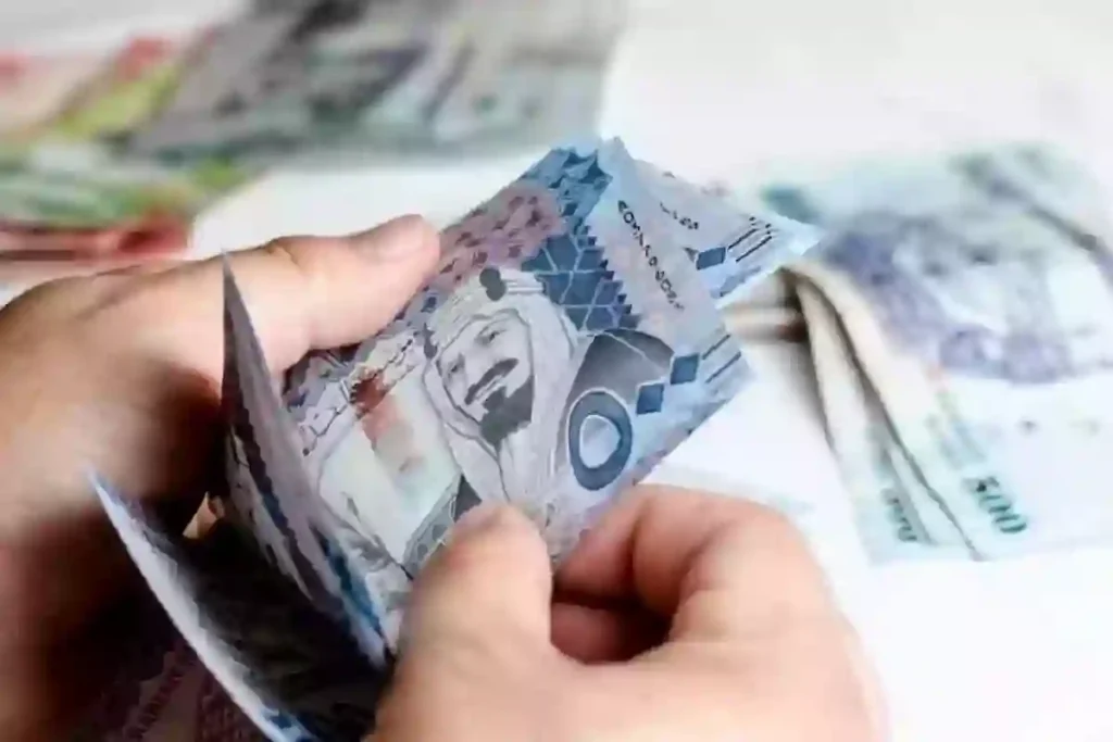 الدعم المالي